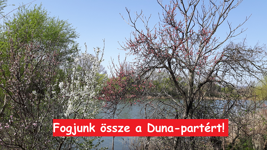 duna_2.png